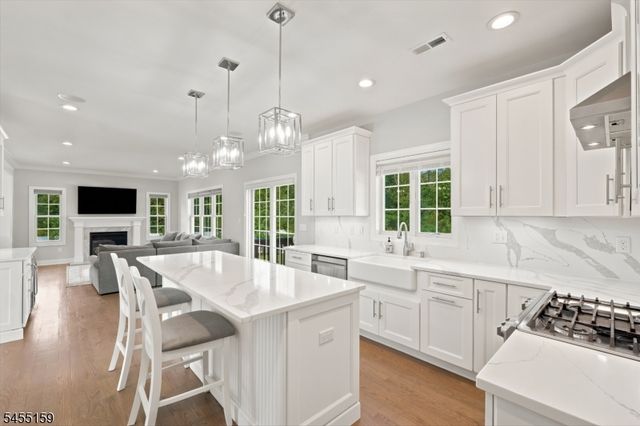 403 Sunnyside Ter, Bridgewater Twp., NJ 08807