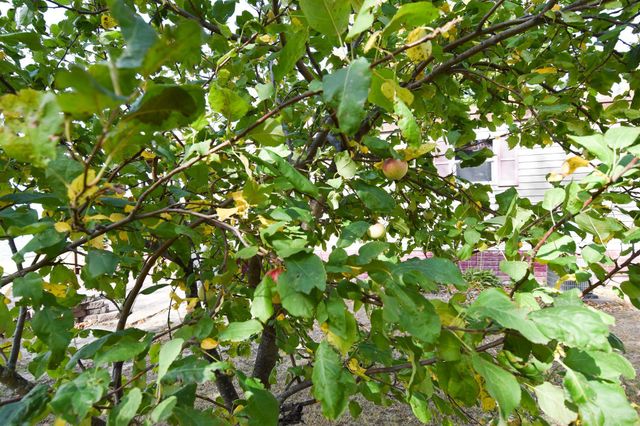 33806 220th Street, Mahnomen, MN 56557