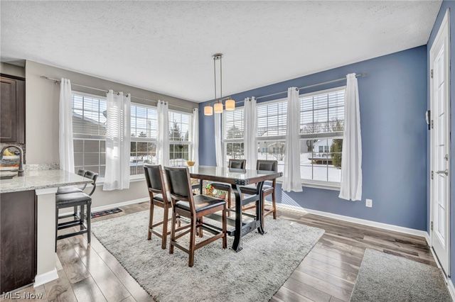 9048 Shady Elm Lane, Olmsted Twp, OH 44138