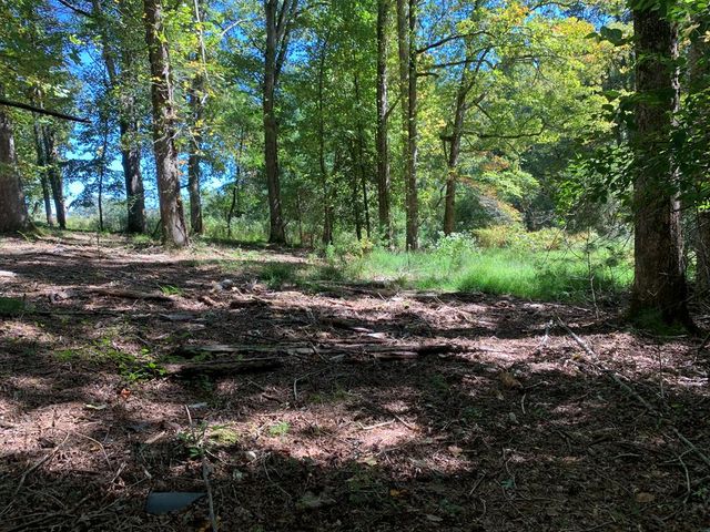 Lot 173 Highland Park, Blairsville, GA 30512