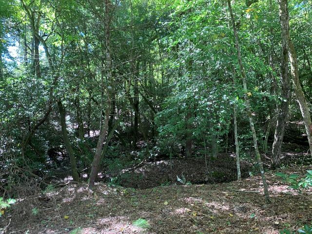 Lot 173 Highland Park, Blairsville, GA 30512