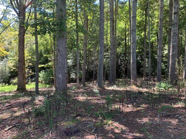 Lot 173 Highland Park, Blairsville, GA 30512