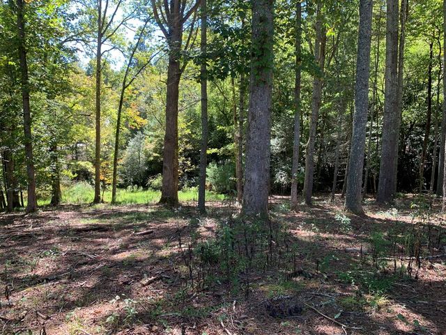 Lot 173 Highland Park, Blairsville, GA 30512