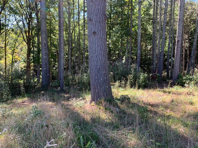 Lot 173 Highland Park, Blairsville, GA 30512