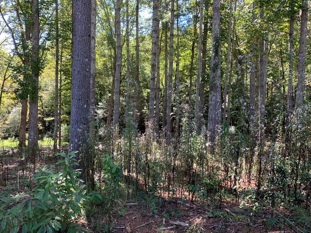 Lot 173 Highland Park, Blairsville, GA 30512