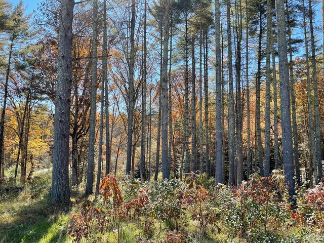 Lot 173 Highland Park, Blairsville, GA 30512
