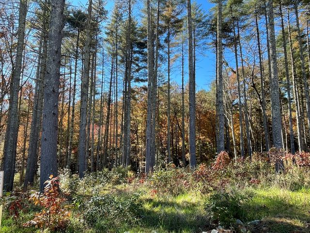 Lot 173 Highland Park, Blairsville, GA 30512