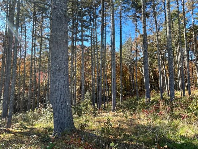 Lot 173 Highland Park, Blairsville, GA 30512