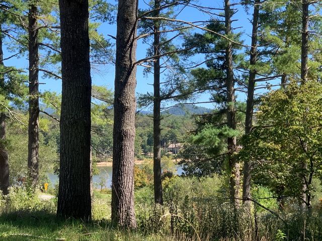 Lot 173 Highland Park, Blairsville, GA 30512