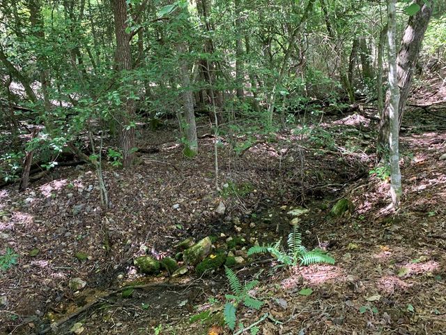 Lot 173 Highland Park, Blairsville, GA 30512