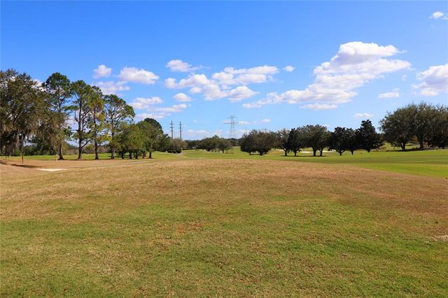 17274 SE 85TH WILLOWICK CIRCLE, The Villages, FL 32162