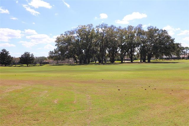 17274 SE 85TH WILLOWICK CIRCLE, The Villages, FL 32162