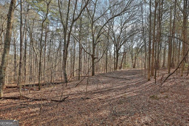 1870 Highway 92 N, Fayetteville, GA 30214