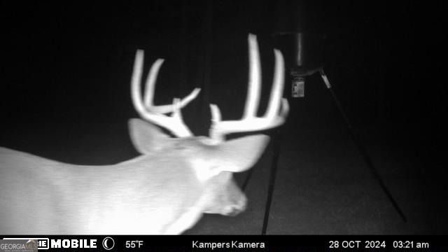 1870 Highway 92 N, Fayetteville, GA 30214