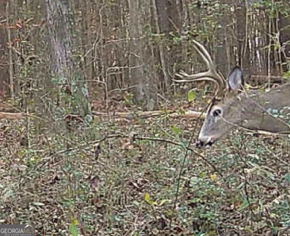 1870 Highway 92 N, Fayetteville, GA 30214