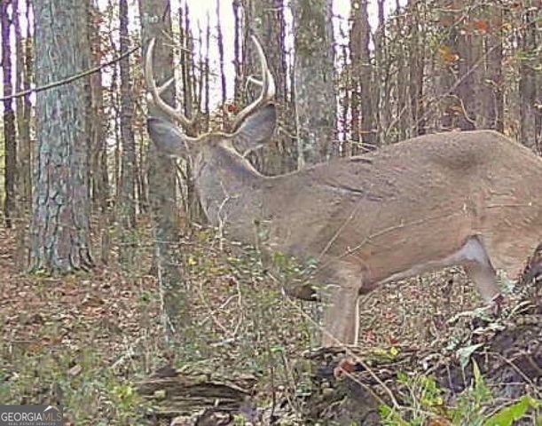 1870 Highway 92 N, Fayetteville, GA 30214