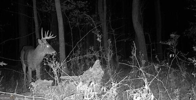 1870 Highway 92 N, Fayetteville, GA 30214