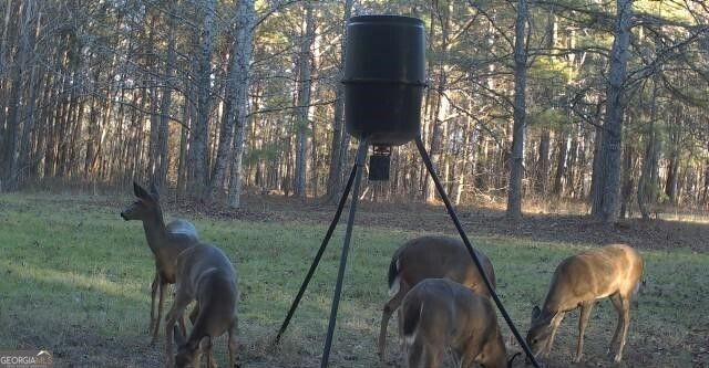 1870 Highway 92 N, Fayetteville, GA 30214