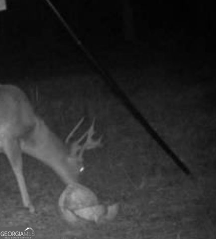 1870 Highway 92 N, Fayetteville, GA 30214