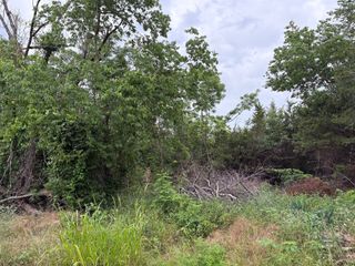 721 W Parnell Street, Denison, TX 75020