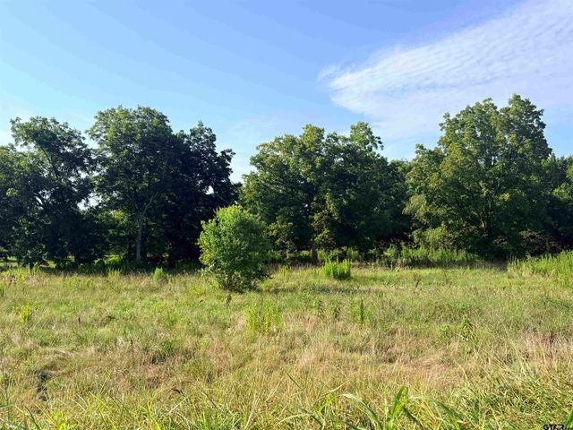 TBD FM 2493, Bullard, TX 75757