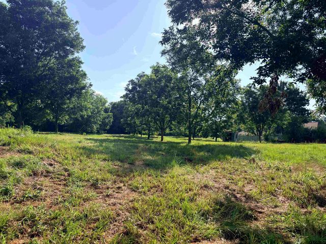 TBD FM 2493, Bullard, TX 75757