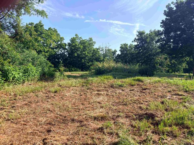 TBD FM 2493, Bullard, TX 75757