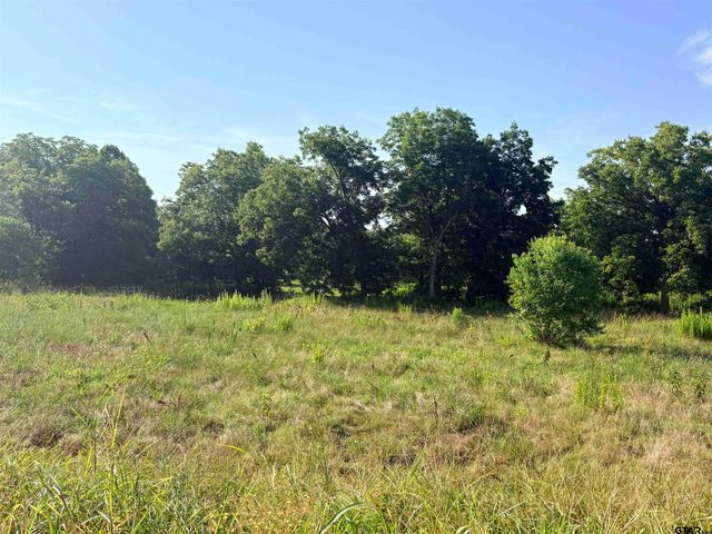 TBD FM 2493, Bullard, TX 75757