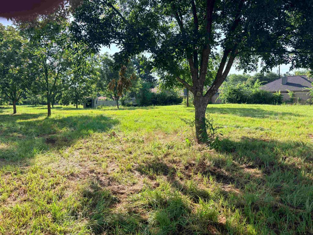 TBD FM 2493, Bullard, TX 75757