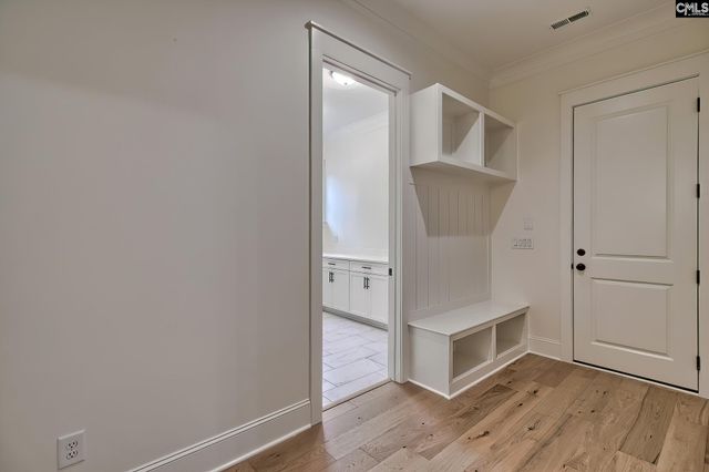 816 Elms Spinney Lane, Chapin, SC 29036