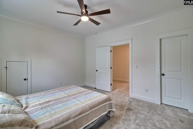 816 Elms Spinney Lane, Chapin, SC 29036