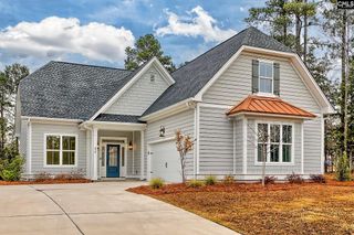 816 Elms Spinney Lane, Chapin, SC 29036