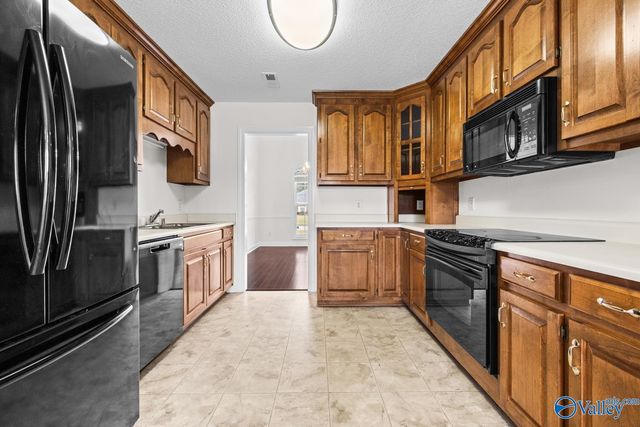 208 Salvia Court, Harvest, AL 35749