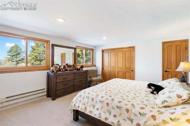 4265 County Road 51 Road, Divide, CO 80814