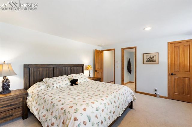 4265 County Road 51 Road, Divide, CO 80814
