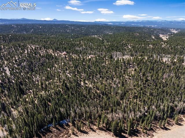 4265 County Road 51 Road, Divide, CO 80814