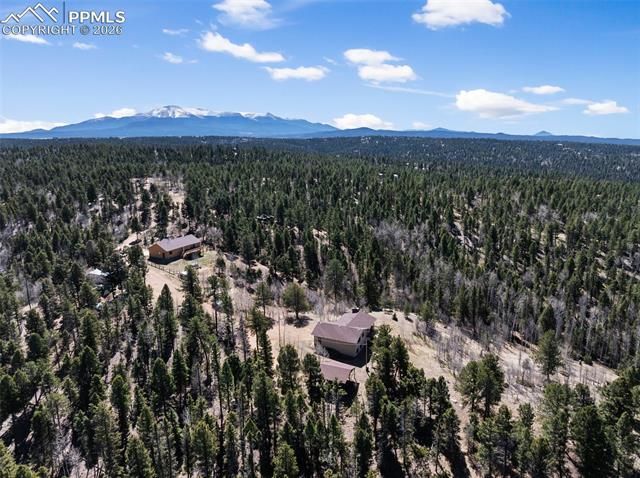 4265 County Road 51 Road, Divide, CO 80814