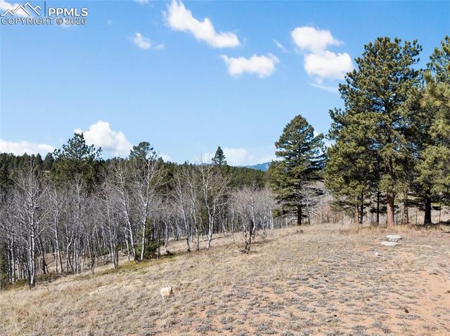4265 County Road 51 Road, Divide, CO 80814