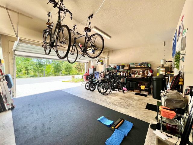1879 TRAILSIDE DRIVE, Palm Harbor, FL 34683