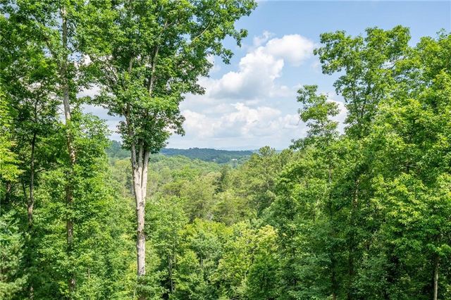 395 Packs Valley, Blue Ridge, GA 30513