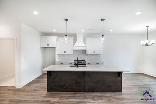 527 Bristleleaf Path, Kathleen, GA 31047