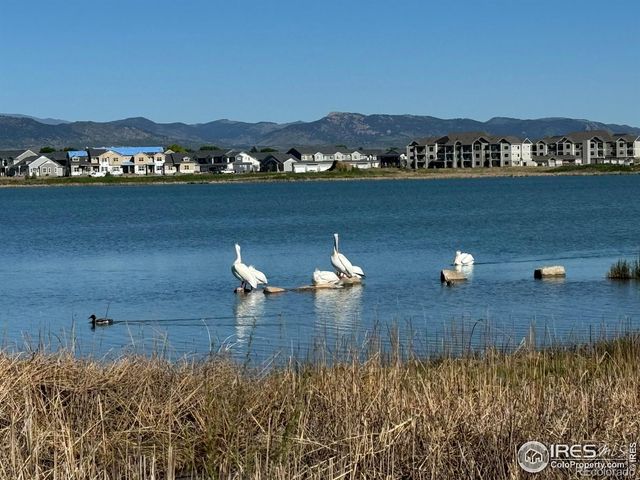 4195 N Park Drive, Loveland, CO 80538