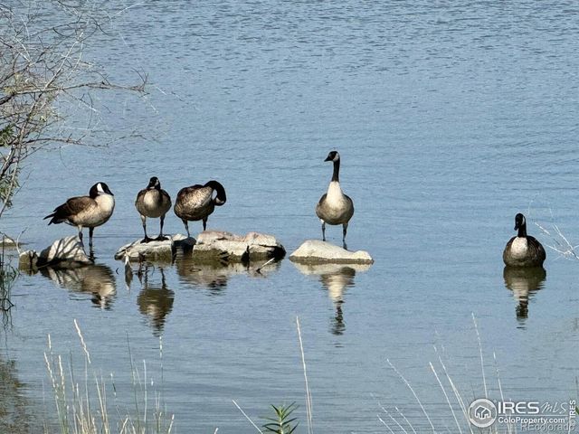 4195 N Park Drive, Loveland, CO 80538