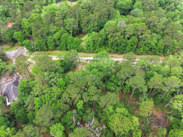 14067 Tower Glen Drive, Conroe, TX 77306