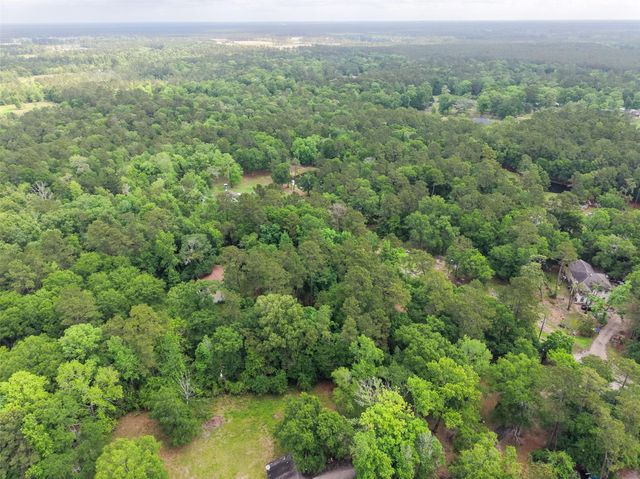 14067 Tower Glen Drive, Conroe, TX 77306