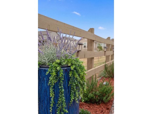 173 Lake Park Dr, Loveland, CO 80537