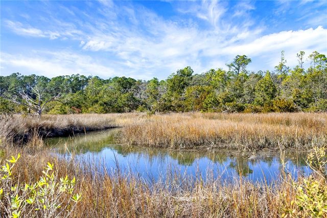 1262 Doodle Hill Road NE, Townsend, GA 31331