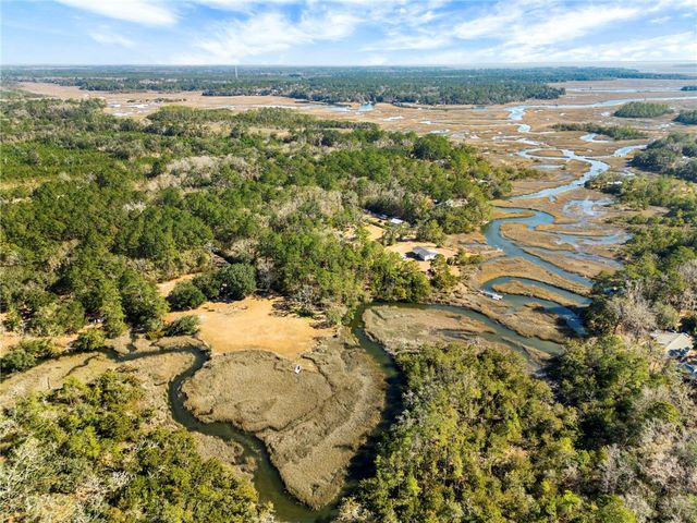 1262 Doodle Hill Road NE, Townsend, GA 31331