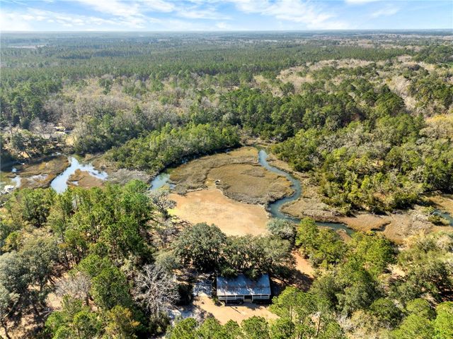 1262 Doodle Hill Road NE, Townsend, GA 31331