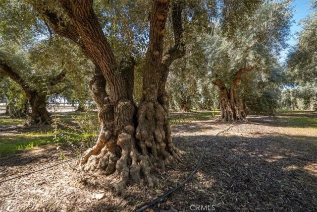 24840 South, Corning, CA 96021